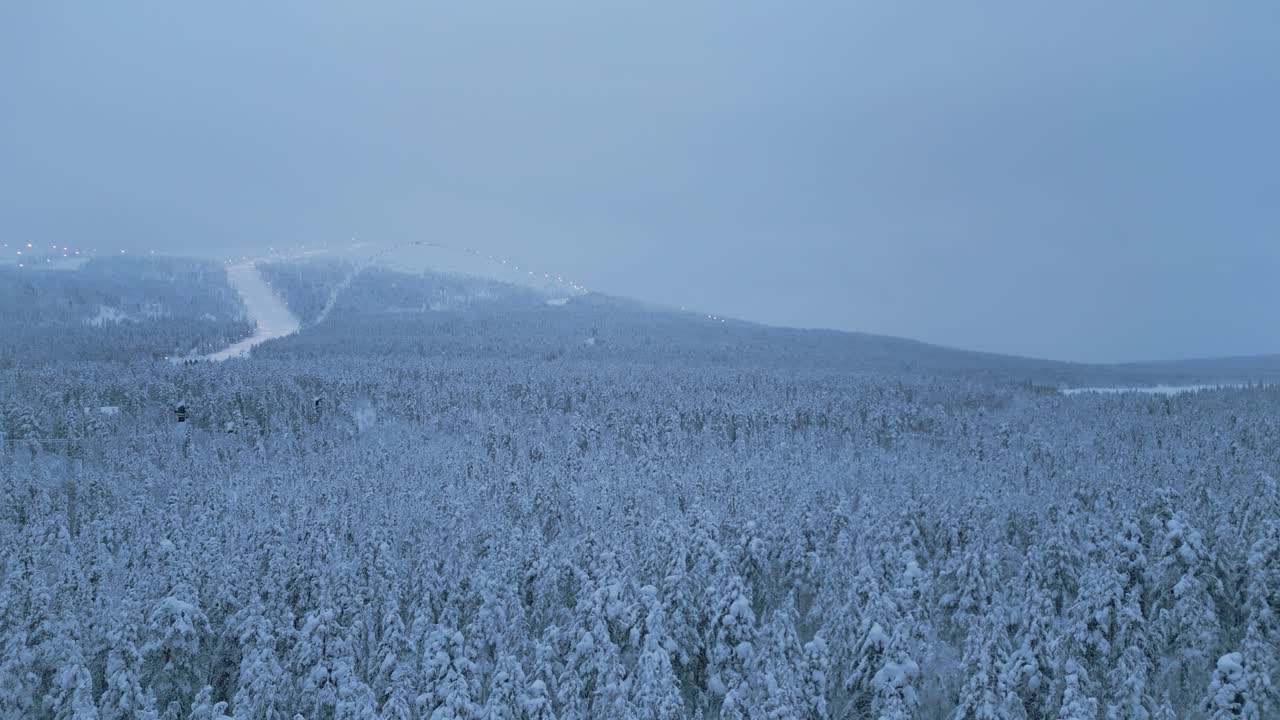스키 리조트와 겨울 가문비나무 숲의 탁 트인 전망