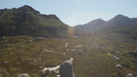 paisaje con montañas y rocas