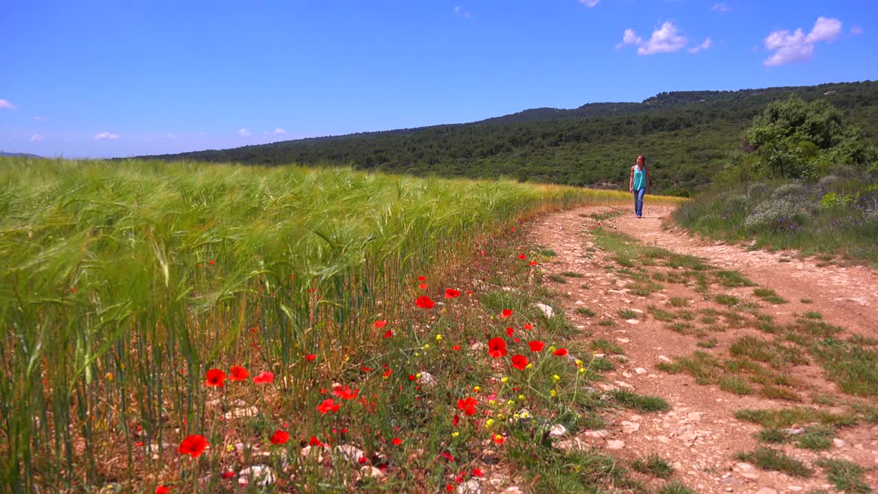 한 어린 소녀가 야생화 들판 근처의 비포장 도로를 따라 걷는다