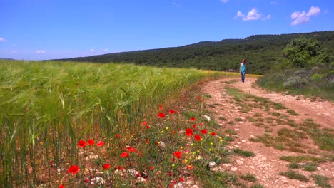 Una-Niña-Camina-Por-Un-Camino-De-Tierra-Cerca-De-Un-Campo-De-Flores-Silvestres.