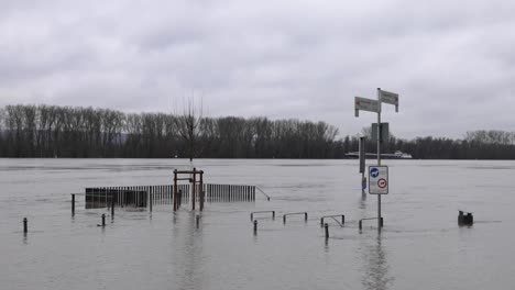 road signs submerge in flood with forest in the background in waluf, eltville, germany. wide shot