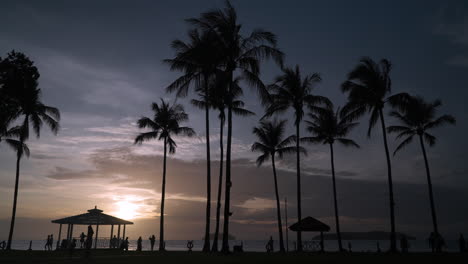 tanjung aru beach - silhouette of coconut palm trees and people enjoying majestic colorful sunset over the sea at kota kinabalu, malaysia - establishing shot