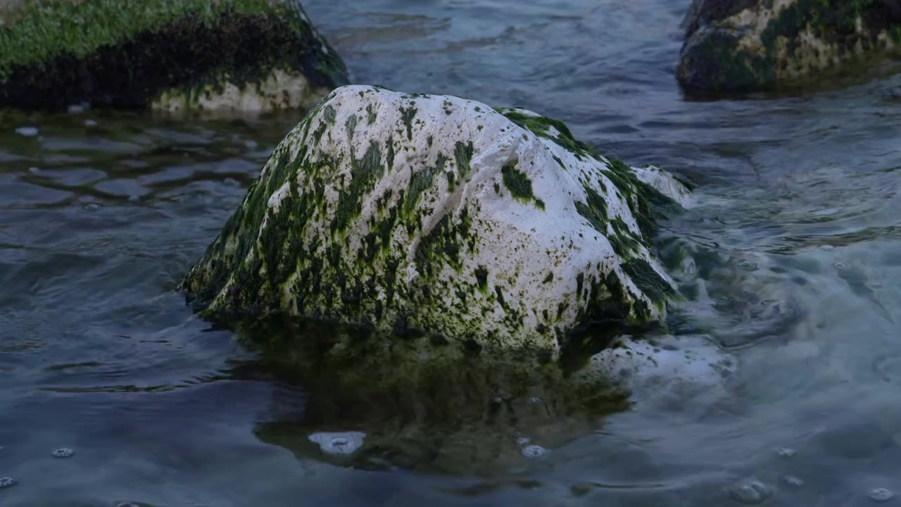 Una vista ravvicinata di una roccia costiera bianca coperta da vivaci alghe verdi, circondata dalle calme acque del Mare Adriatico a Porto Recanati, Italia