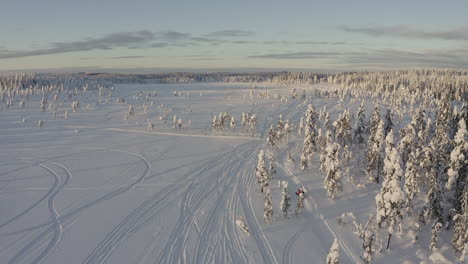 Naturaleza-Del-Bosque-De-Invierno-En-Suecia