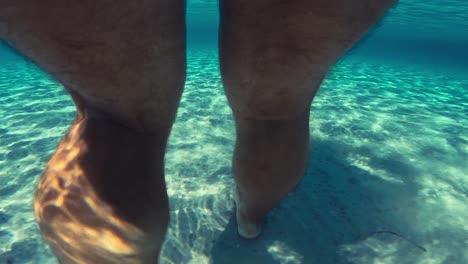 closeup underwater back view of man legs walking on seabed raising clouds of sand floating in turquoise tropical sea