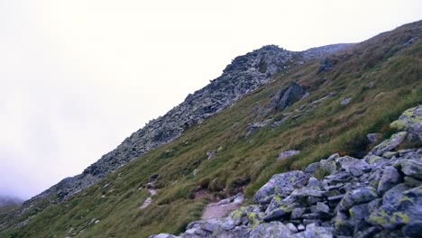 Wide-shot-of-Retezat-Mountains,-Romania-looking-up-a-hillside