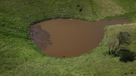 在哥斯达黎加火山口形成的<unk>湖上沉思.