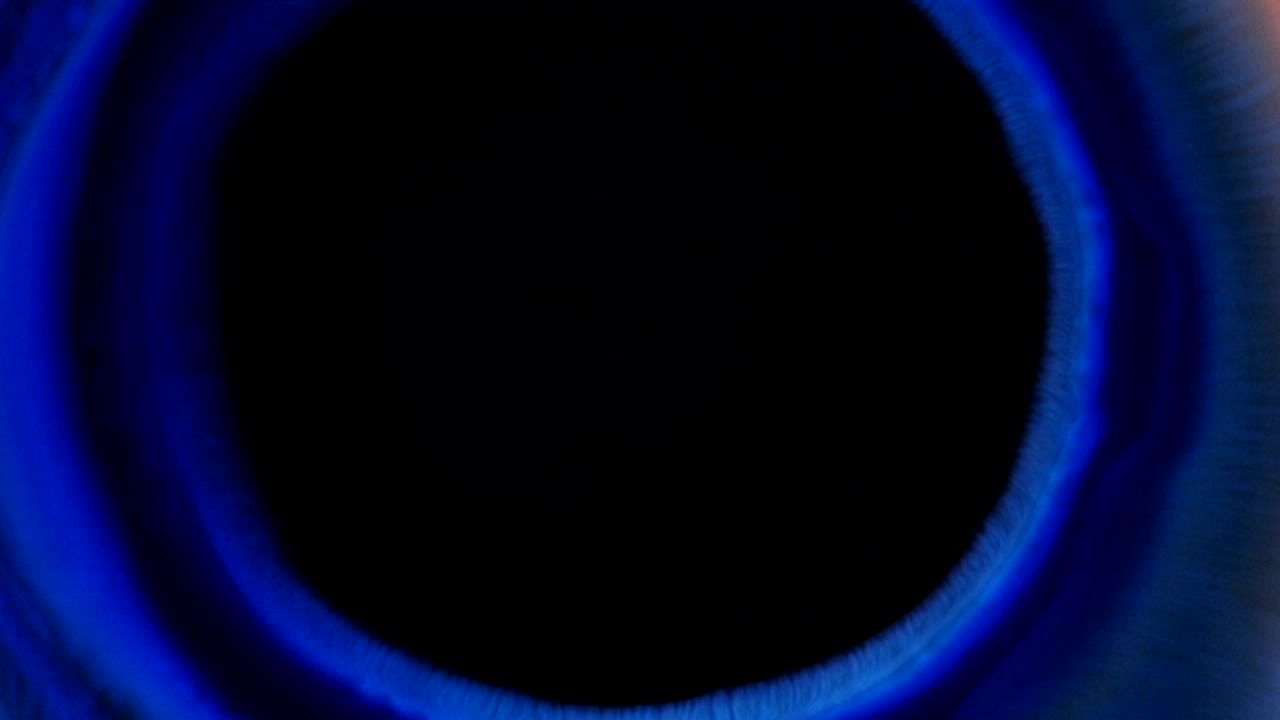 Purple, blue and black make circles that expand ..... then contract -  an all natural AbstractVideoClip