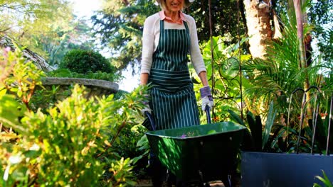 Mature-woman-pushing-a-wheelbarrow