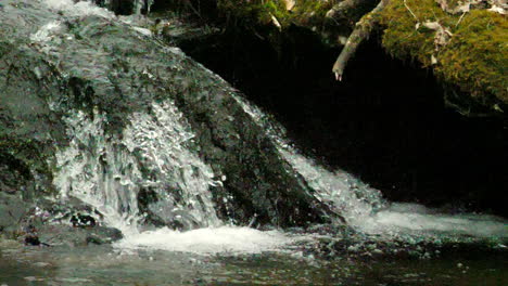 slow motion shot of small waterfall spilling into a mountain pool shot at 180 frames per second