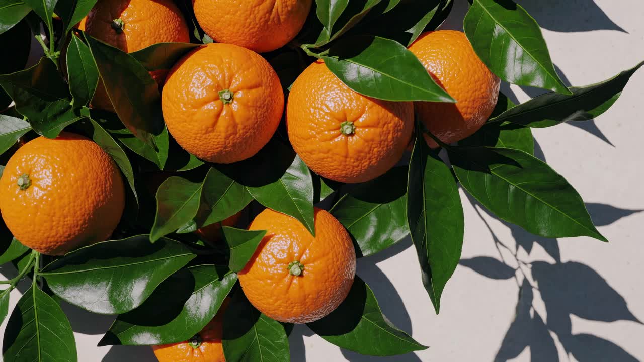 Top-down video shot of vibrant oranges with glossy green leaves on a light surface