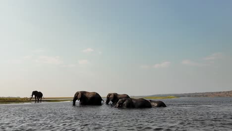 safari skyline at chobe national park in kasane botswana