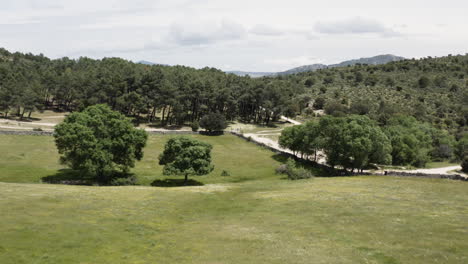 Sweeping-aerial-along-the-foothills-and-roads-of-the-Sierra-de-Guadarrama-near-Manzanares-el-Real