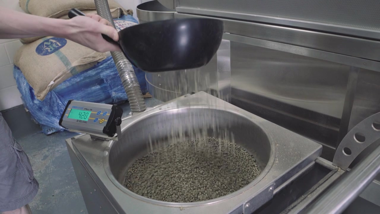 Decanting green coffee beans into a roasting machine, medium shot handheld
