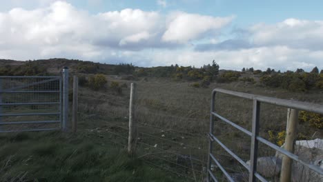 pasture in the highlands of ireland