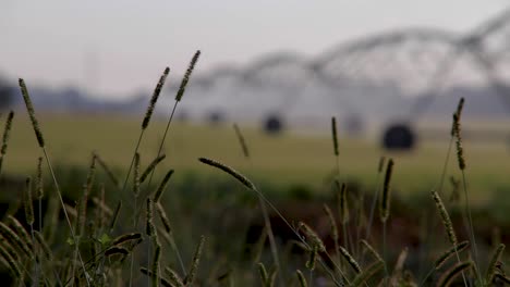 large farming equipment watering early morning sunrise on commercial farm