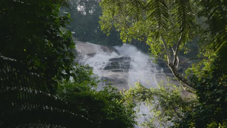 lush green forest waterfall