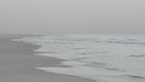 olas en una playa escandinava en un día de niebla en cámara lenta