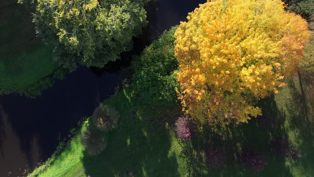Drone flies above colorful tree crowns over stream in Victory Park Riga Latvia