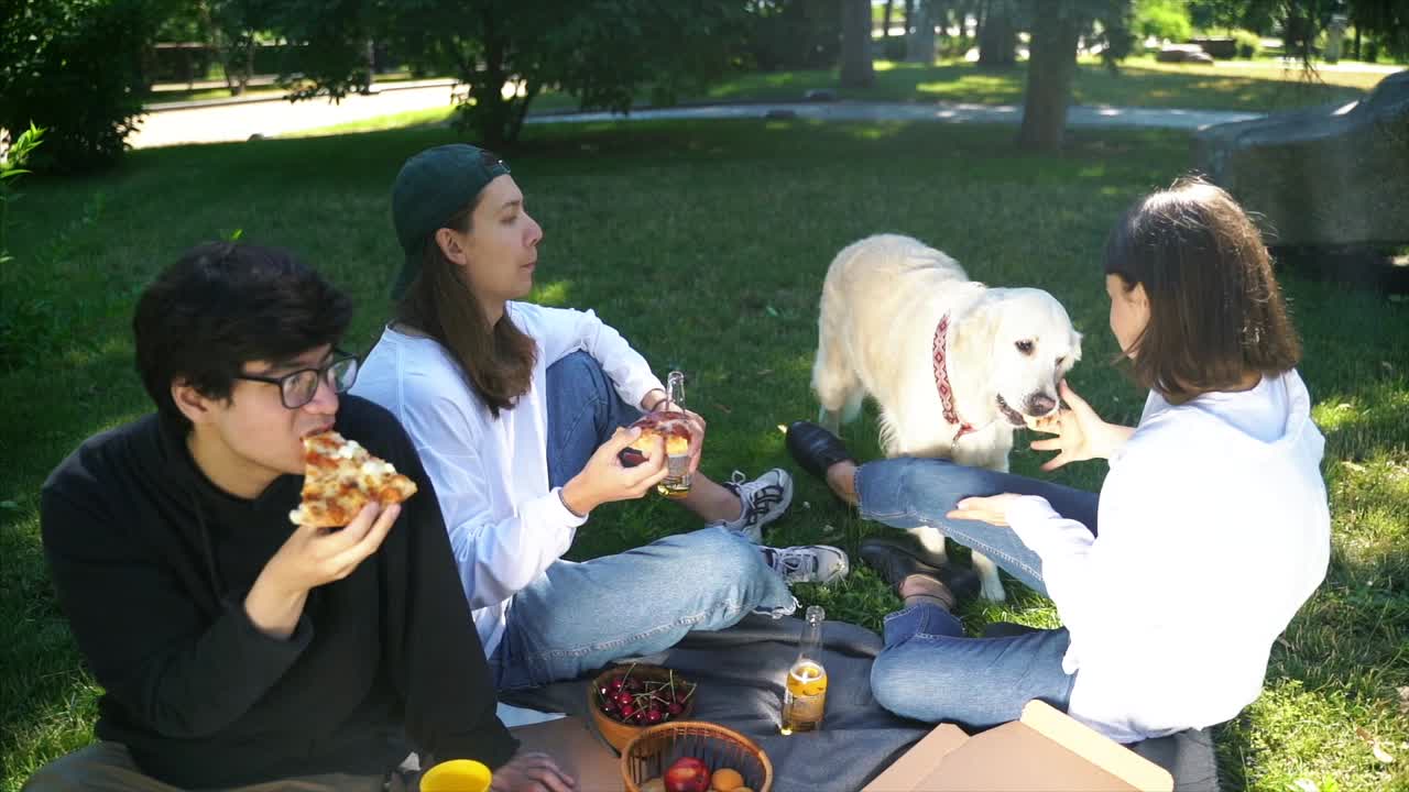 친구 들 이 개 와 함께 공원 에서 피크닉 을 즐기고 있다