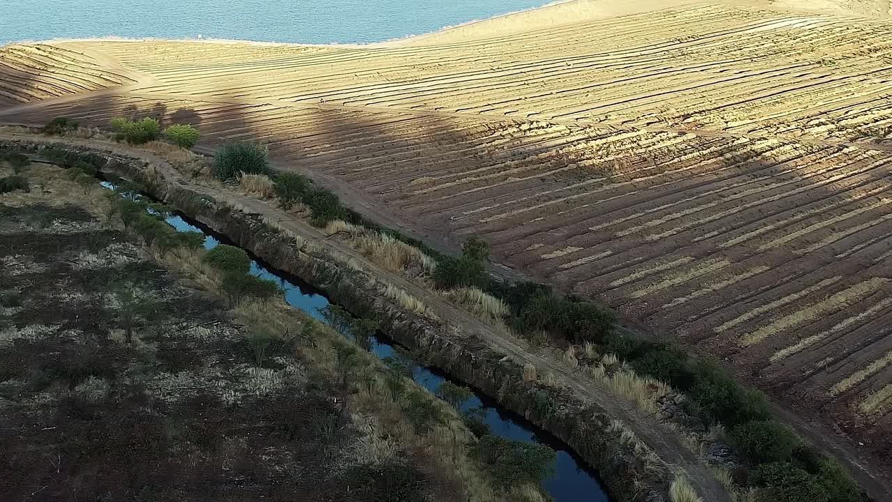 Vista di campi coltivati lungo un ruscello in Cile sotto la luce del sole pomeridiana.