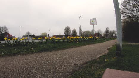 Static-on-the-sidewalk:-Cars-and-flowers