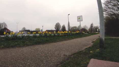 static on the sidewalk: cars and flowers