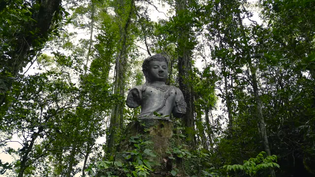 naturaleza pacífica con buda, estatua olvidada de buda en la jungla, budismo antigua tradición