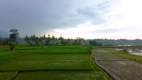 aerial view of rural landscape showing watery paddy fields during cultivation