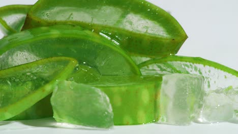 close up of transparent extract gel flows through the aloe vera sliced on white background. natural medical plant for organic cosmetics, alternative medicine