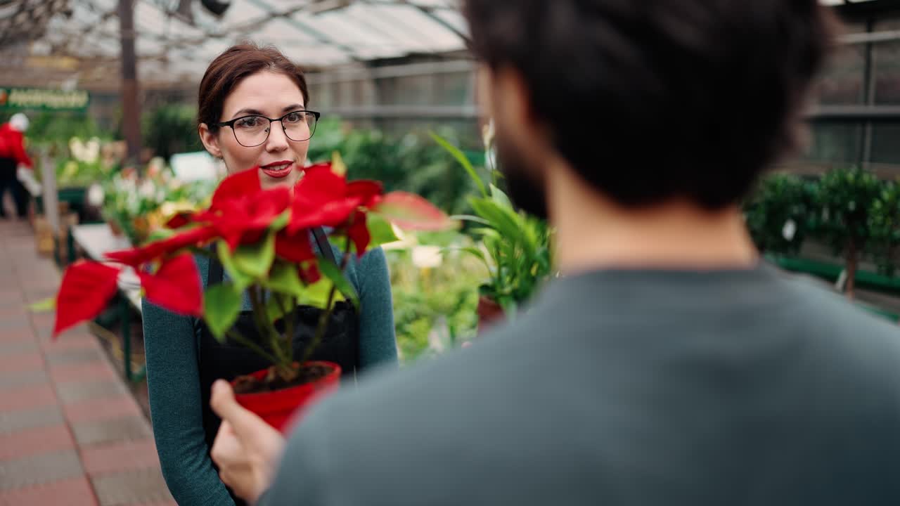 sobre el hombro: un hombre sosteniendo dos plantas en una maceta con flores rojas y hablando con una joven jardinera en el invernadero