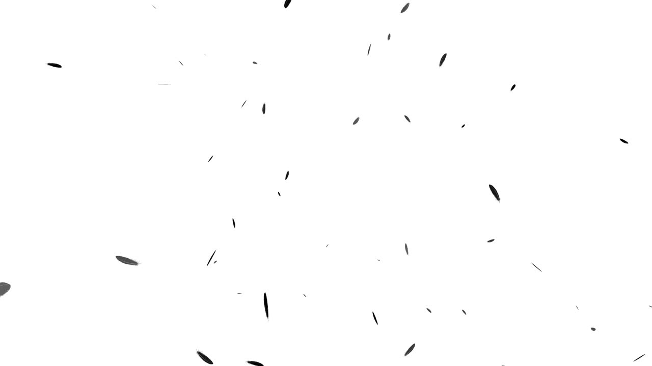 Black feather soaring particle motion graphics