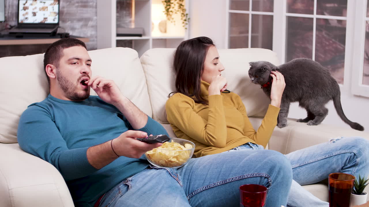 Couple watching TV with their cat while eating chips