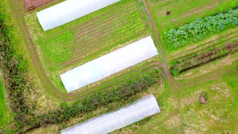 Birds-eye-view-of-allotment-and-polytunnel-in-somerset