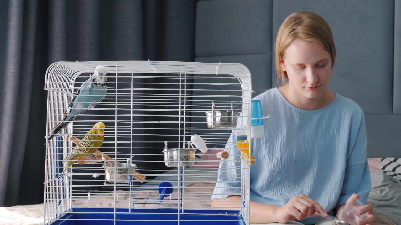 여자 는 침실 에서 새 들 에게 먹이 를 주고 있다