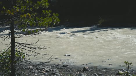 un impresionante río del parque nacional yoho en canadá en un día azul claro y en el día de verano