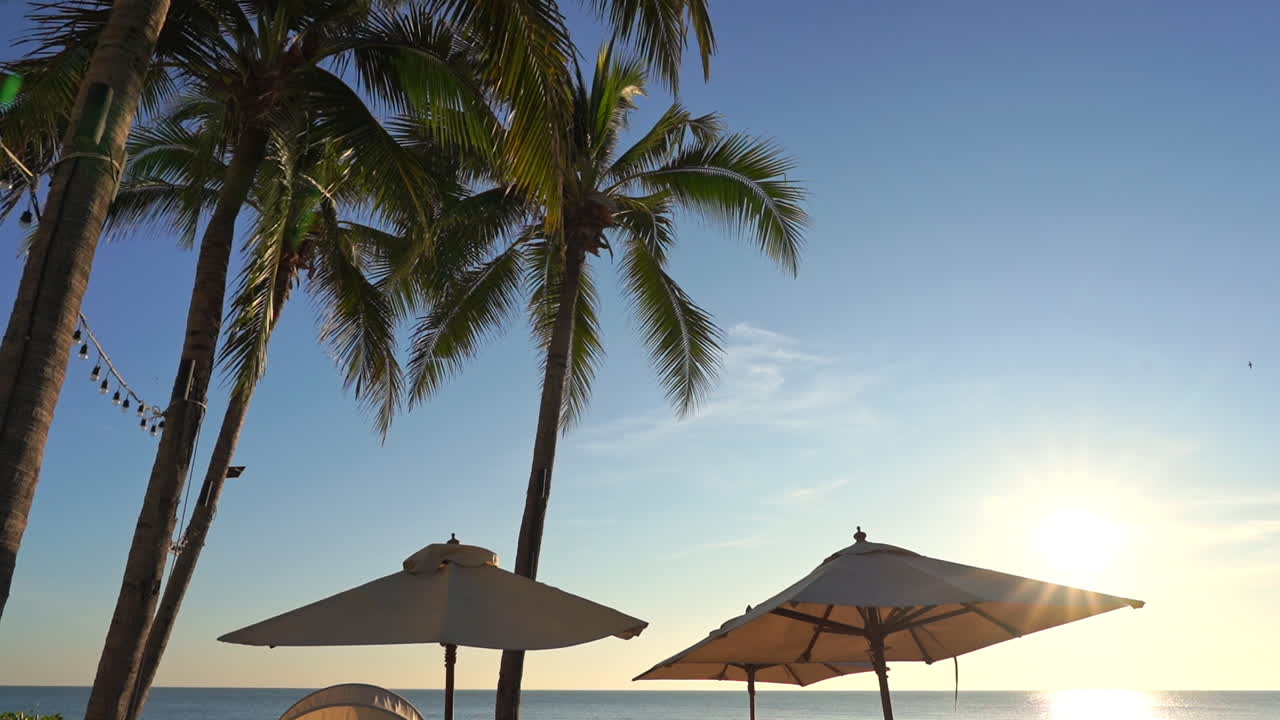 Palme da cocco sopra ombrelloni parasole sul lungomare di un'esotica isola tropicale con controluce solare, statico