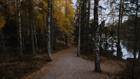 POV-view-walking-on-a-wet-forest-road,-gloomy-fall-day-in-Scandinavia