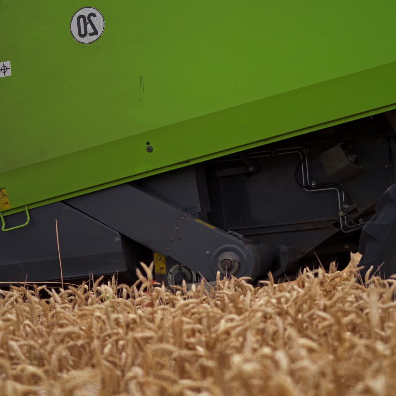 Big combine harvesting golden wheat. Agricultural cereal farming fields