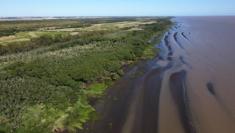 aerial upward tilt of sandbanks and woodlands by rio de la plata coast