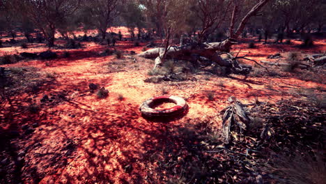 neumático abandonado en un bosque desértico