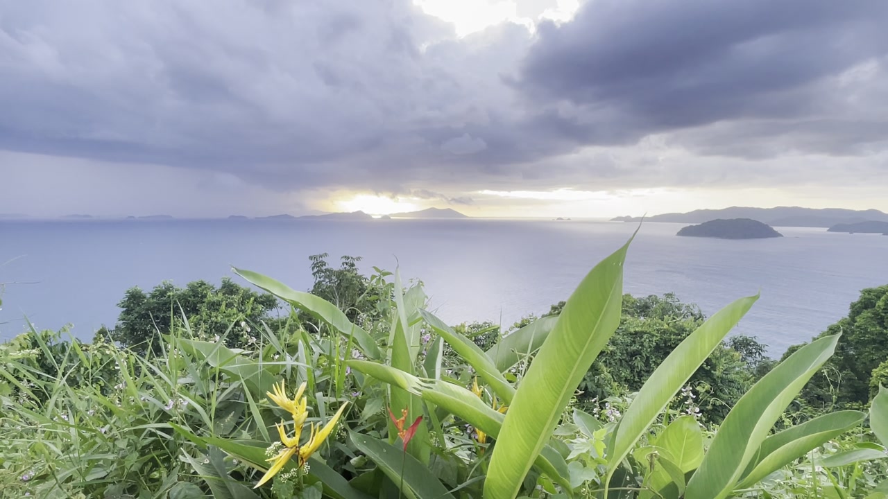 Tropical sea landscape at sunset with islands and lush jungle vegetation, fire golden hour sky and flowers, greenery