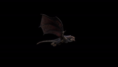 dragón realista vuela junto a la cámara sobre fondo negro