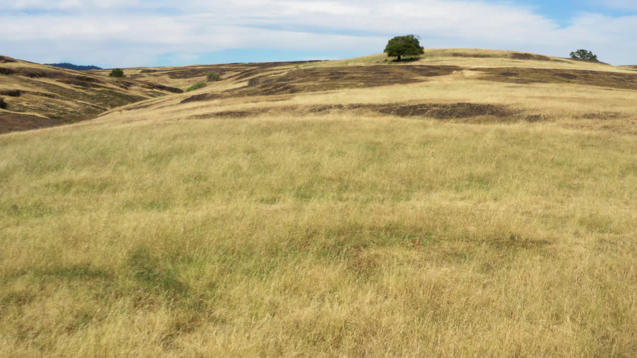 Flying low over dry grass field on top of Tabletop Mountain in California, drone
