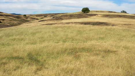 flying low over dry grass field on top of tabletop mountain in california, drone