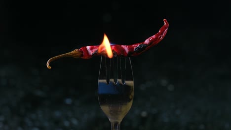 burning red chilli pepper on a metal fork and black background