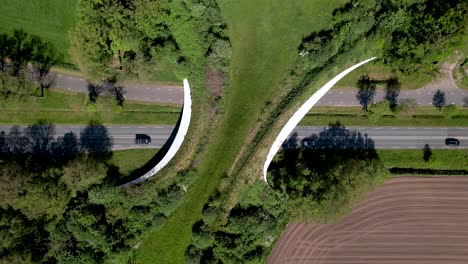 top down aerial of wildlife crossing forming a safe natural corridor bridge for animals to migrate between conservancy areas with cars passing underneath