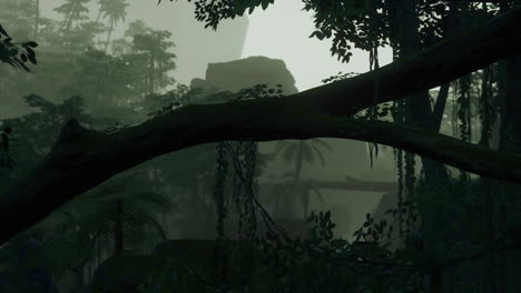 scene looking straight into a dense tropical rain forest