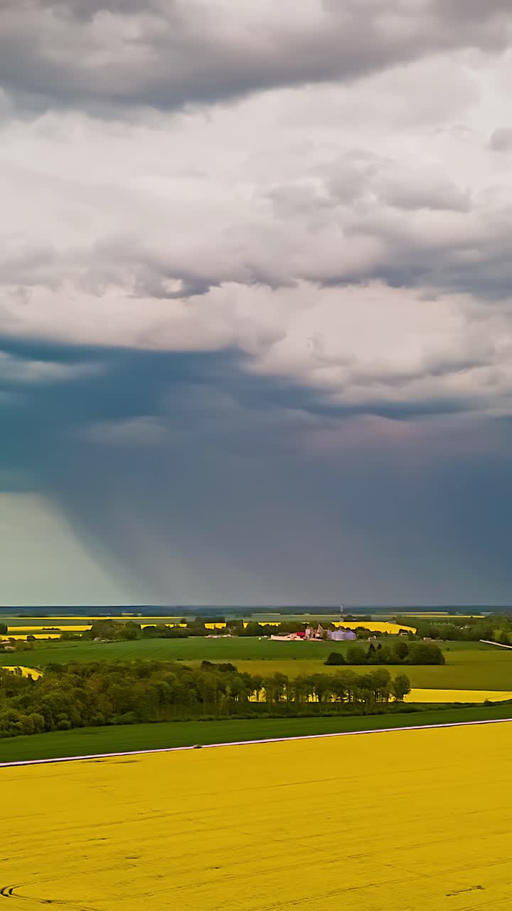 Drone hyperlapse of dark storm clouds and rain above yellow rapeseed fields, vertical