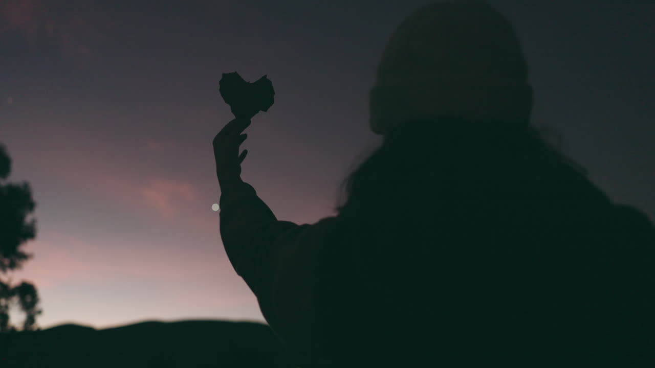 야간 하늘, 여자 의 심장 과 실루 ⁇